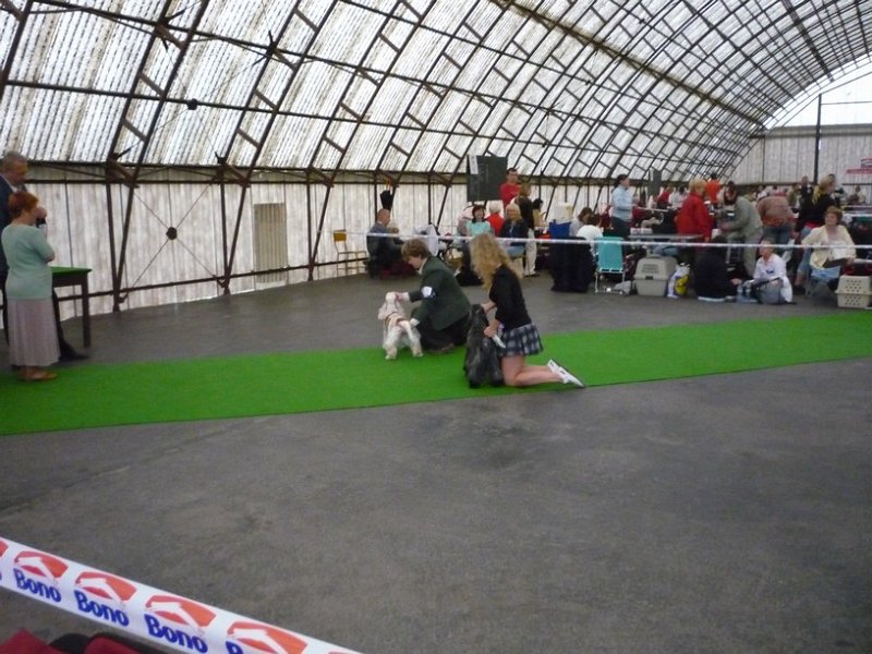 narodka boleslav 057.jpg